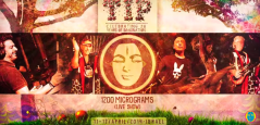 1200 Micrograms