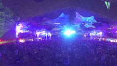 Flegma Alliance 2014