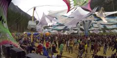Helber Gun - One Love - Festival