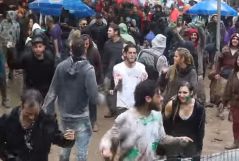 logic bomb doof festival 2015